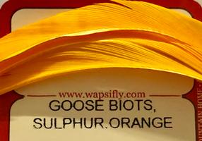 Goose Biots Wapsi