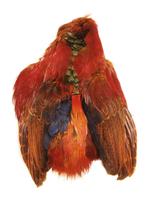 Golden Pheasant complete body skin Veniard